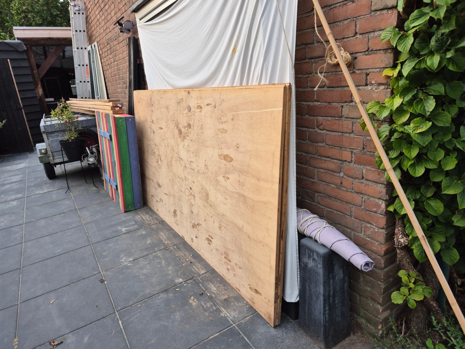 Twee multiplex platen (122x244), Ophalen, Gebruikt, 25 tot 50 mm, Plank