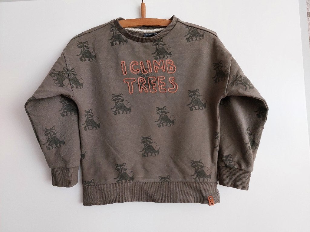 'Stoere jongens trui/sweater, mt 110, als nieuw!, Kinderen en Baby's, Kinderkleding | Maat 110, Ophalen of Verzenden, Zo goed als nieuw