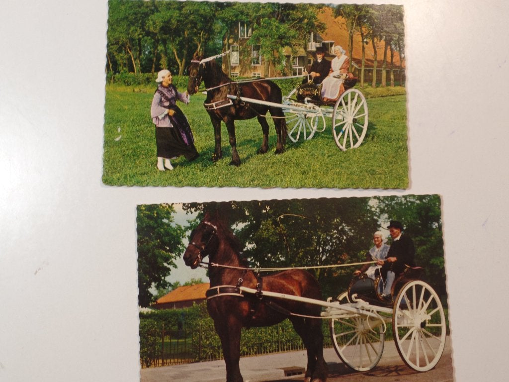 Friese Paarden ringrijden Klederdracht, Verzenden, Noord-Holland