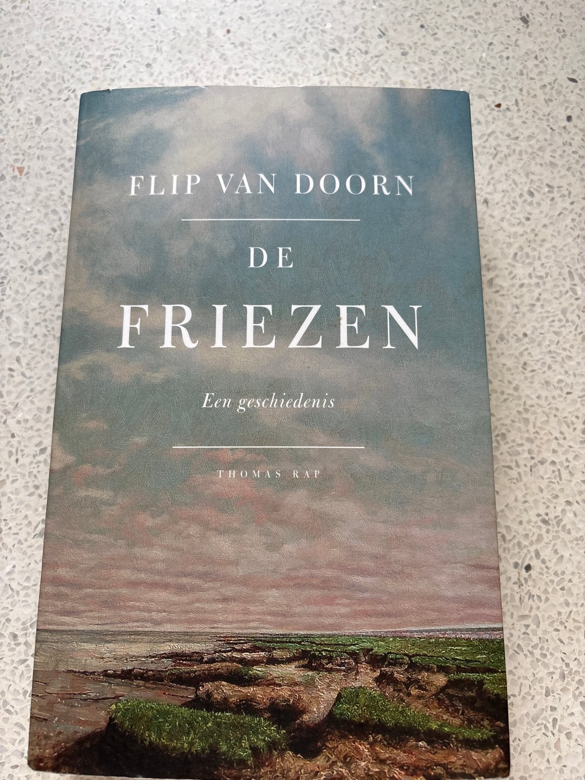De Friezen - Een geschiedenis door Flip van Doorn, Ophalen of Verzenden, 20e eeuw of later, Zo goed als nieuw, Europa