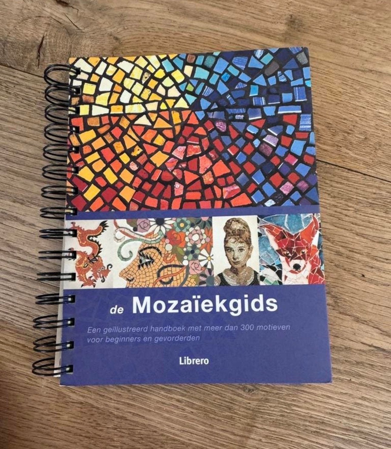 De Mozaïekgids: Geïllustreerd handboek met 300+ motieven, Ophalen of Verzenden, Nieuw, Scrapbooking en Knutselen