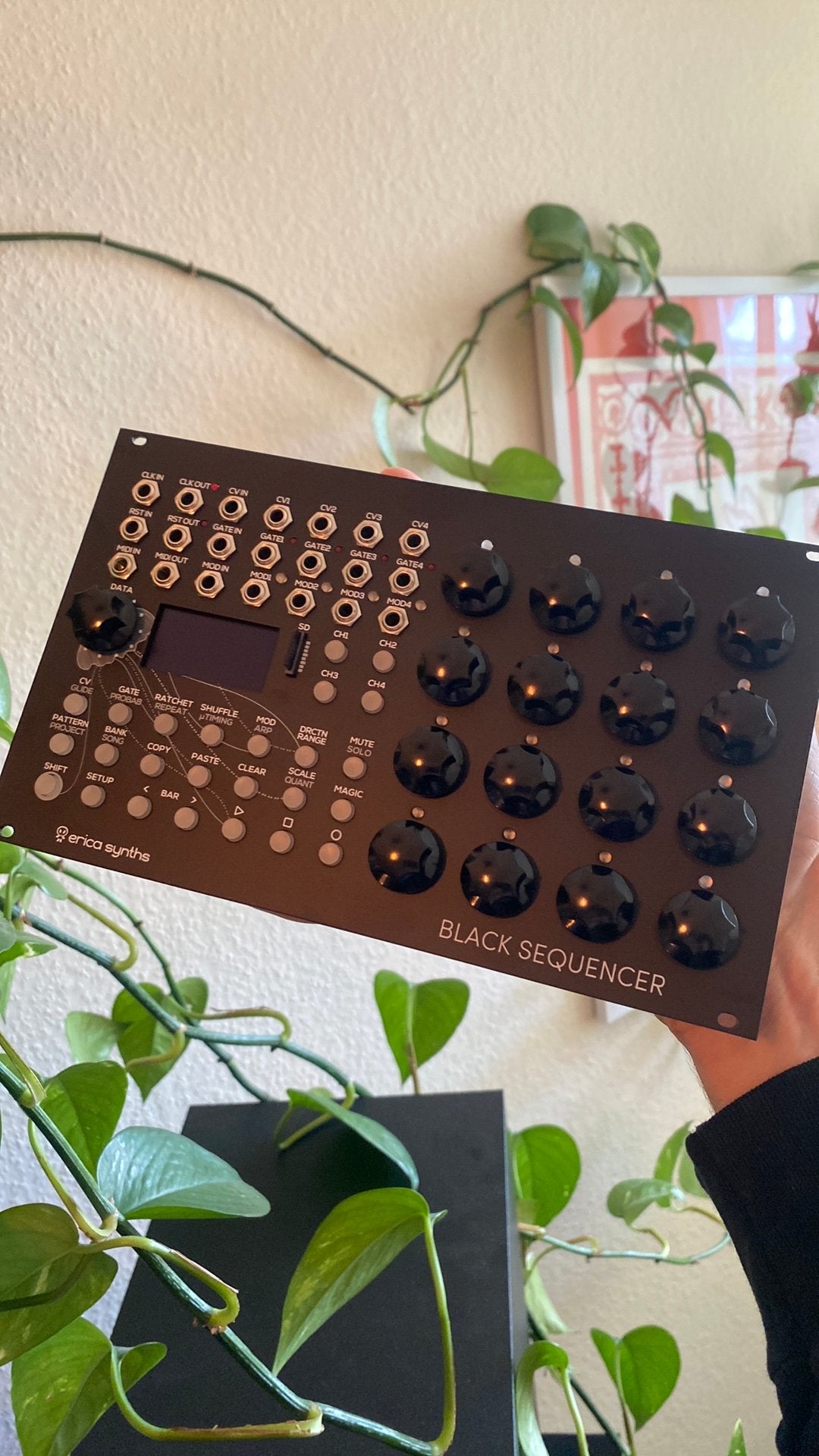 Erica Synths Black Sequencer, Ophalen of Verzenden, Zo goed als nieuw