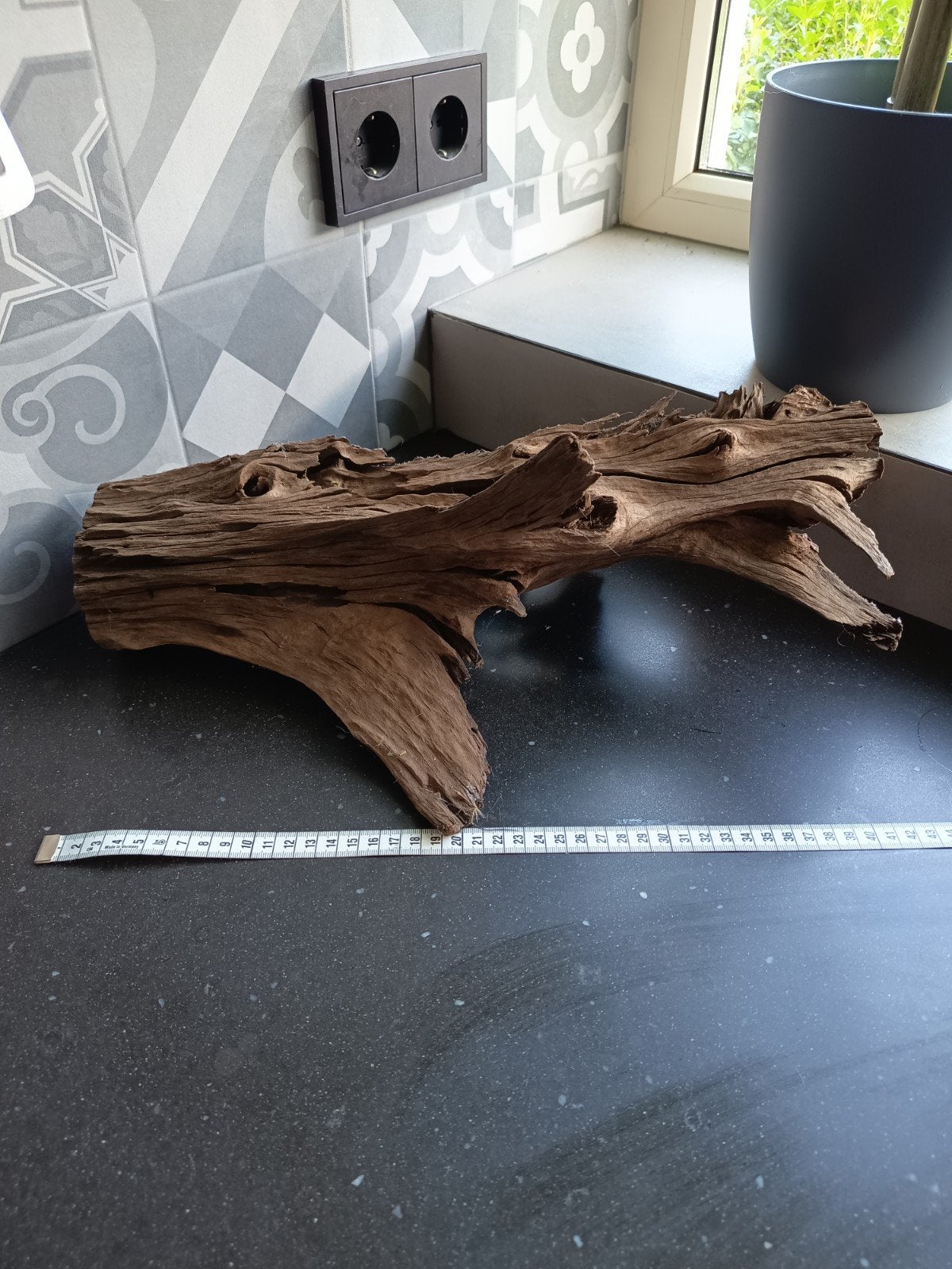 Groot stuk kienhout, Dieren en Toebehoren, Ophalen of Verzenden, Gebruikt, Plant(en), Steen of Hout, Overige merken
