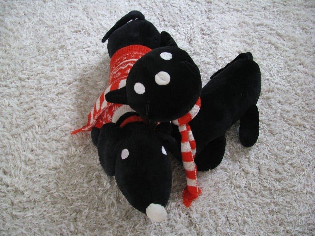 Takkie & Siepie * ZGAN * zoeken een NIEUW thuis # huis *, Overige merken, Middelgroot (20 tot 80 cm), Hond, Ophalen of Verzenden
