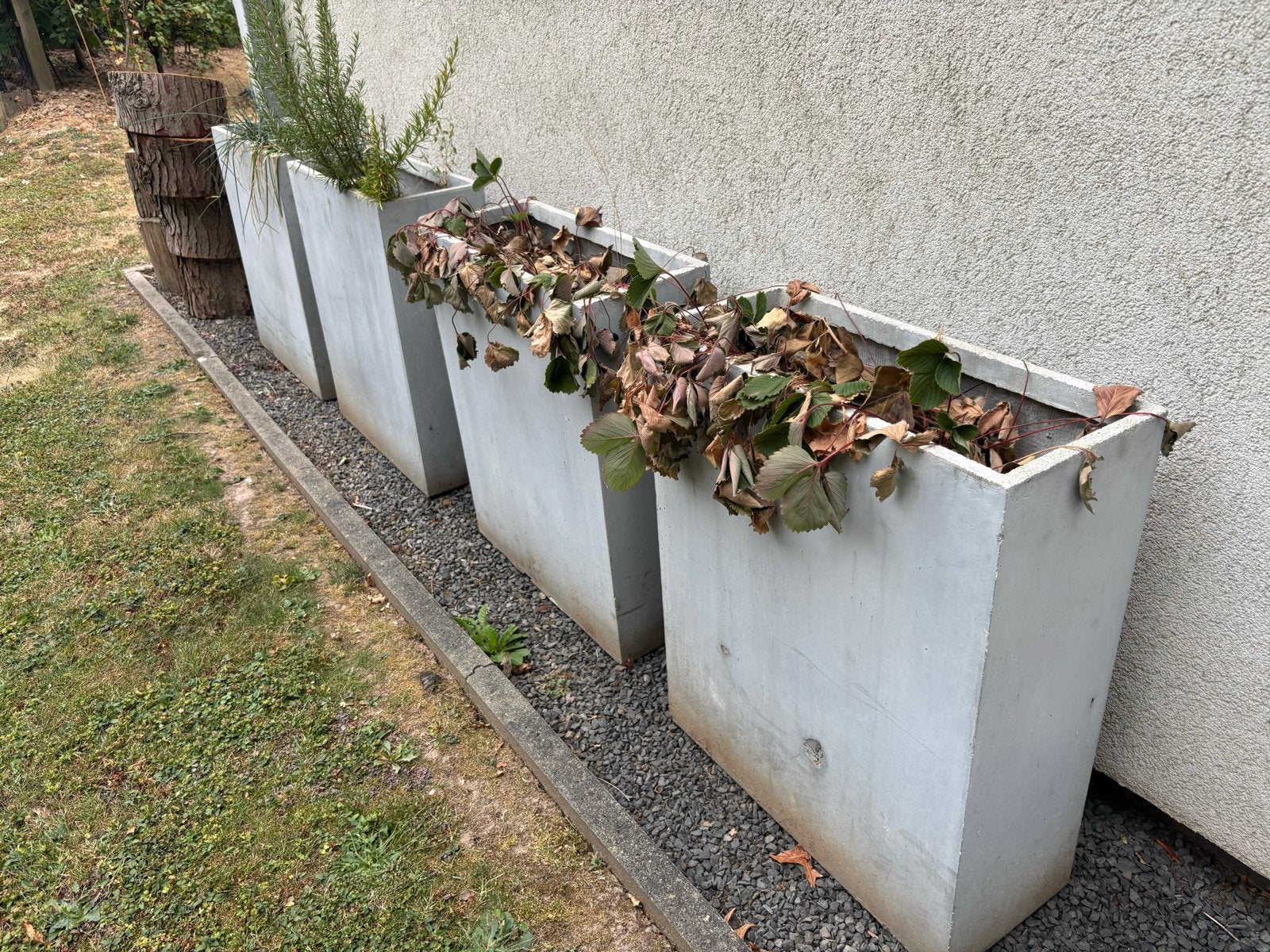plantenbakken - diverse maten, Ophalen, Gebruikt, Binnen, 60 tot 100 cm