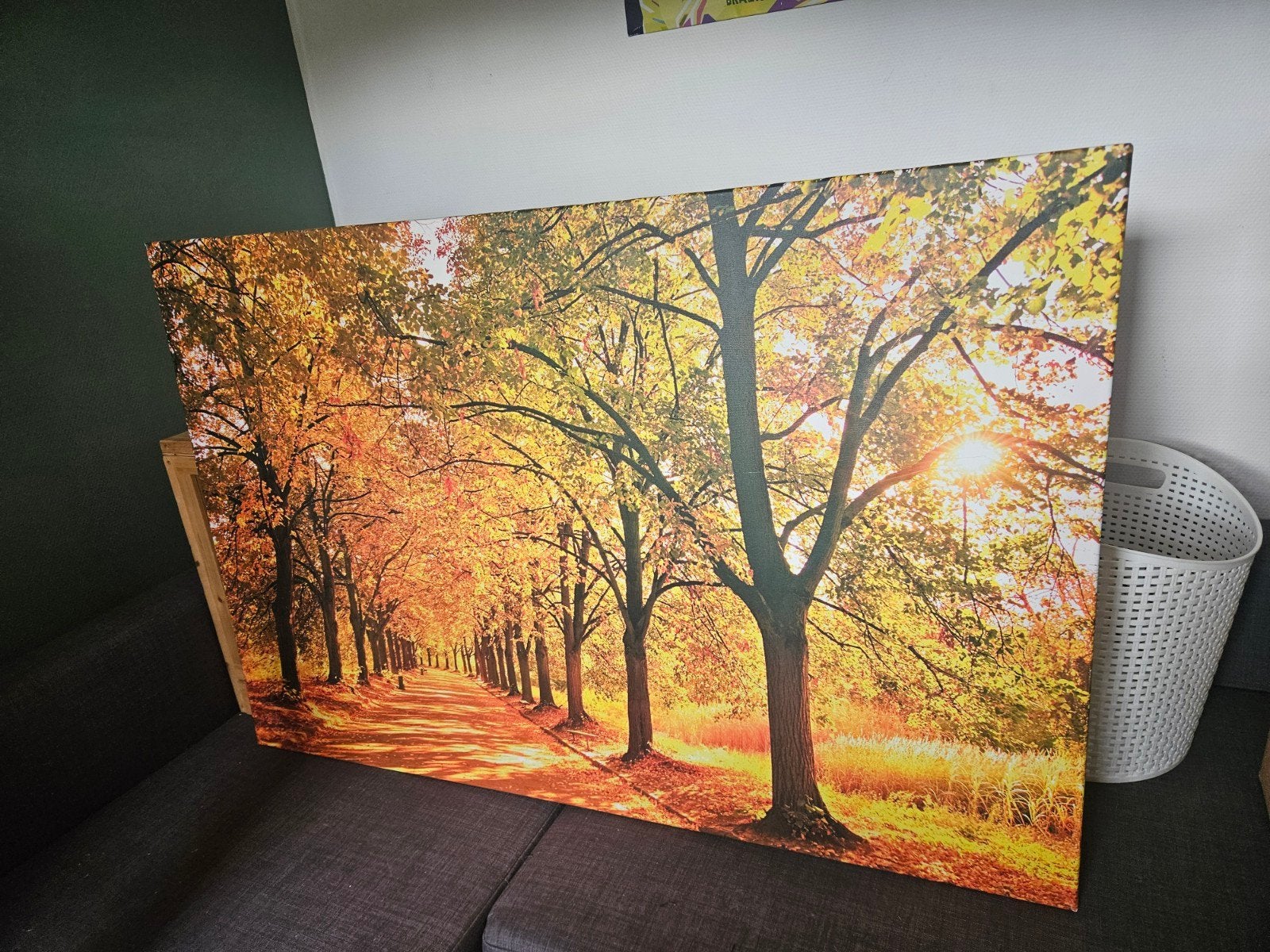 canvasdoek voor binnen huis, Ophalen