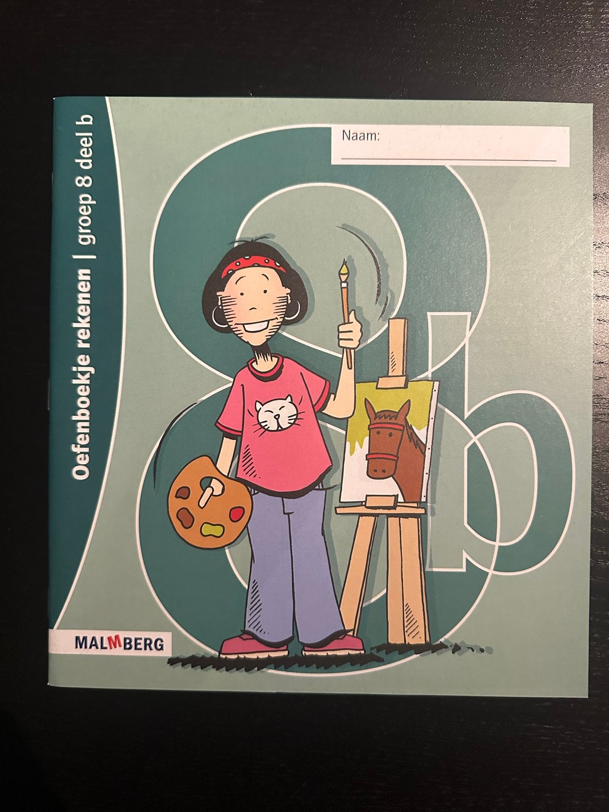 Oefenboek rekenen groep 8 deel b, Boeken, Verzenden, Nieuw, Overige niveaus, Wiskunde A