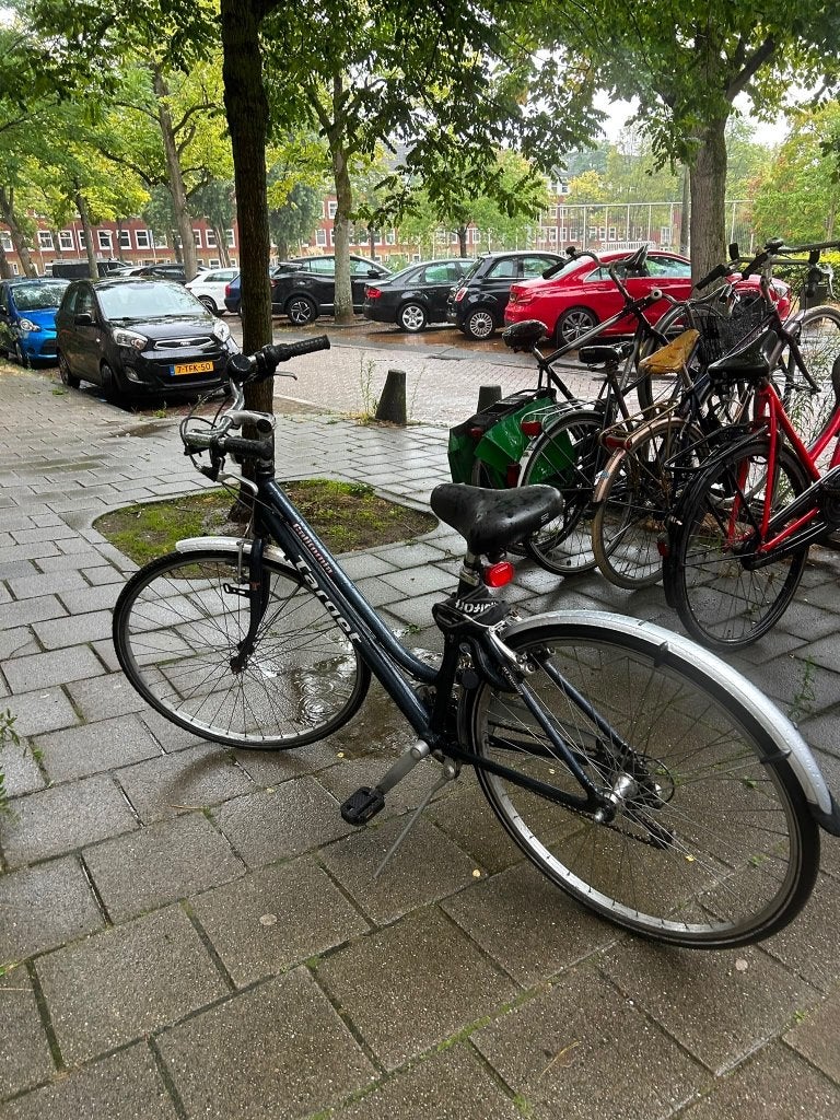 Damesfiets / stadsfiets / City Bike, Gebruikt, Velgrem, Versnellingen, Ophalen