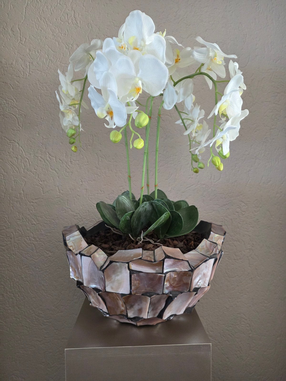 schelpen pot / vaas met kunst orchideeën, Ophalen, Zo goed als nieuw, Rond, Riet
