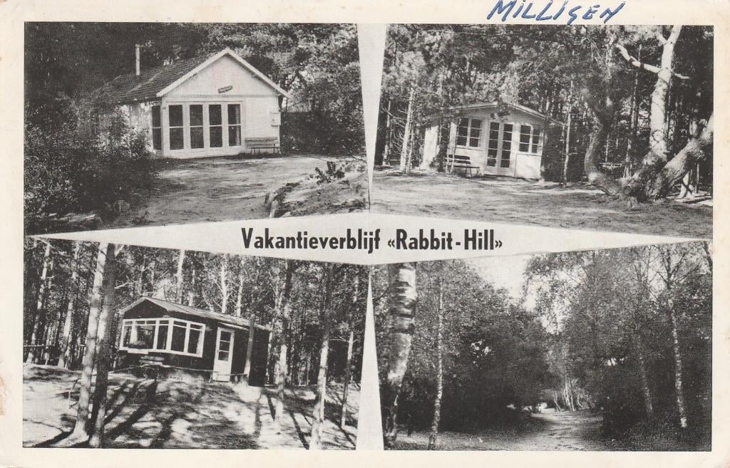 NIEUW MILLIGEN Vakantieverblijf Rabbit Hill 1959, Verzenden, 1940 tot 1960, Gelopen, Gelderland