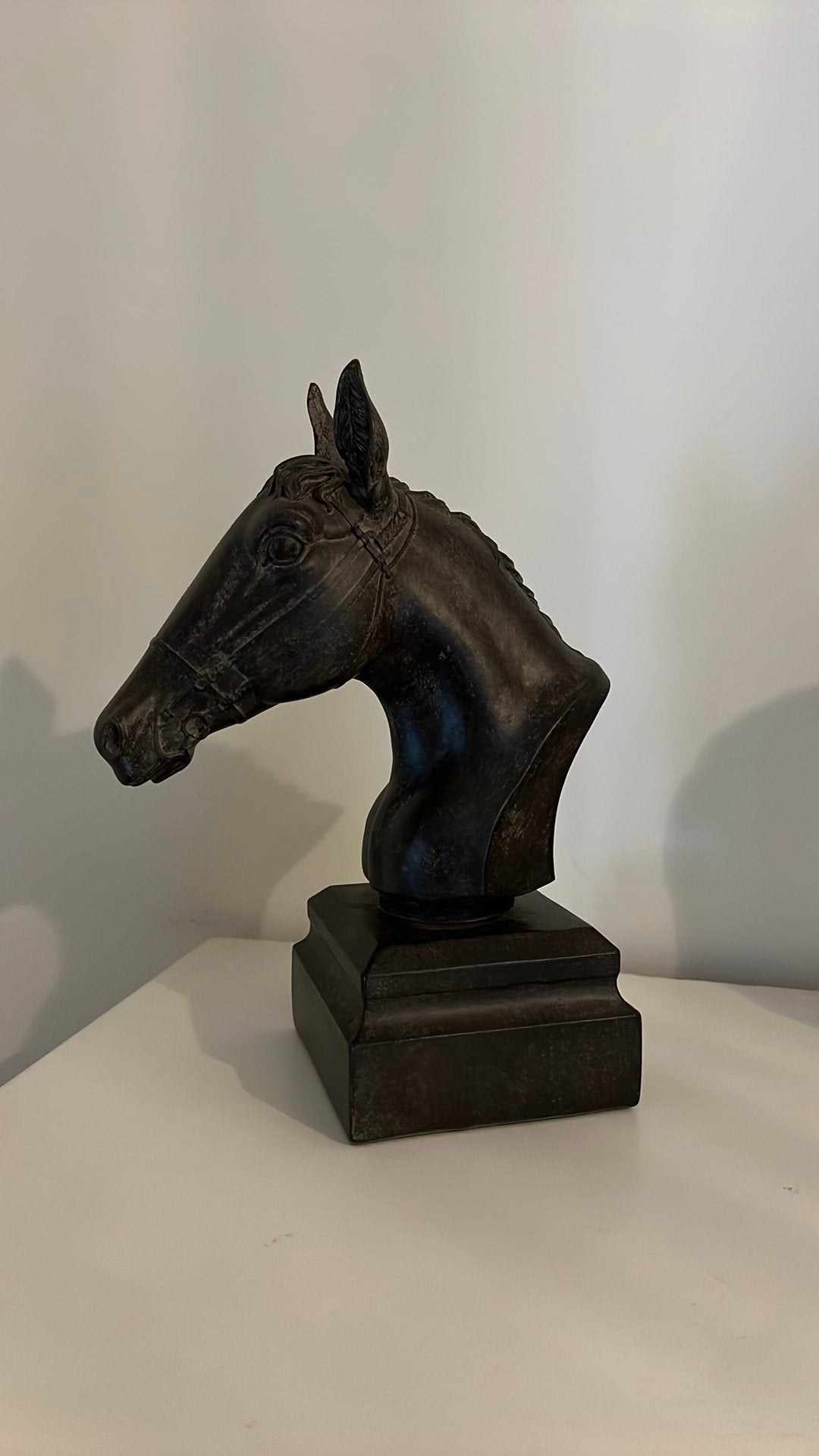 Paardenhoofd, Ophalen of Verzenden, Beeld
