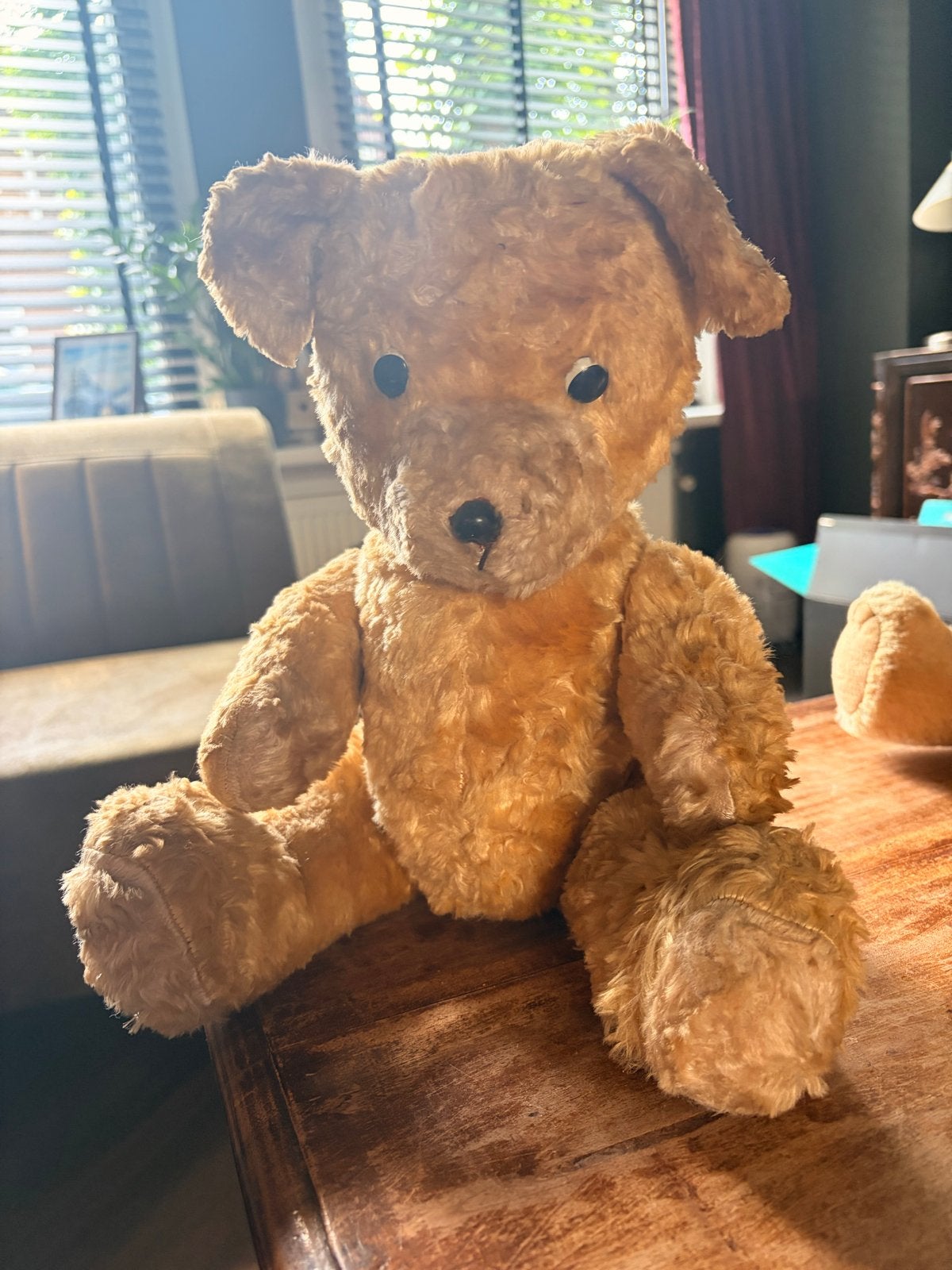 Vintage Teddybeer - Charmante Knuffelbeer, Gebruikt, Beer, Ophalen of Verzenden, Middelgroot (20 tot 80 cm)