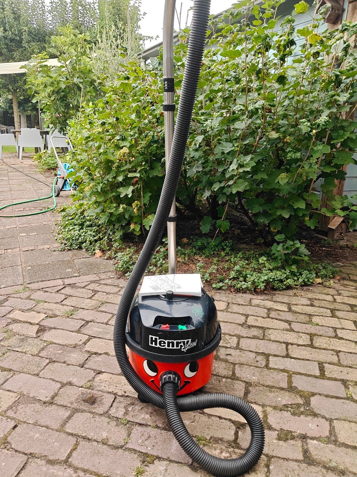 Numatic Henry Plus tofzuiger, Stofzak, Gebruikt, Numatic, Ophalen of Verzenden