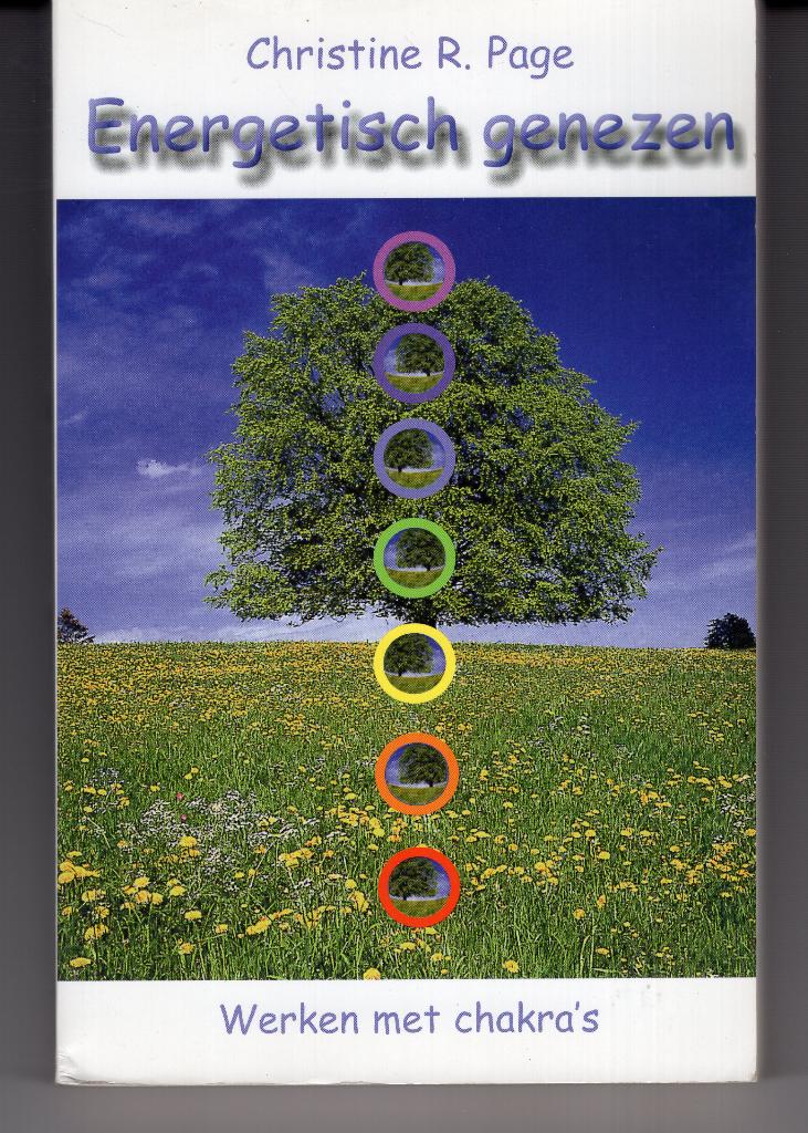 Energetisch genezen Christine Page, Boeken, Esoterie en Spiritualiteit, Ophalen of Verzenden, Gelezen, Spiritualiteit algemeen