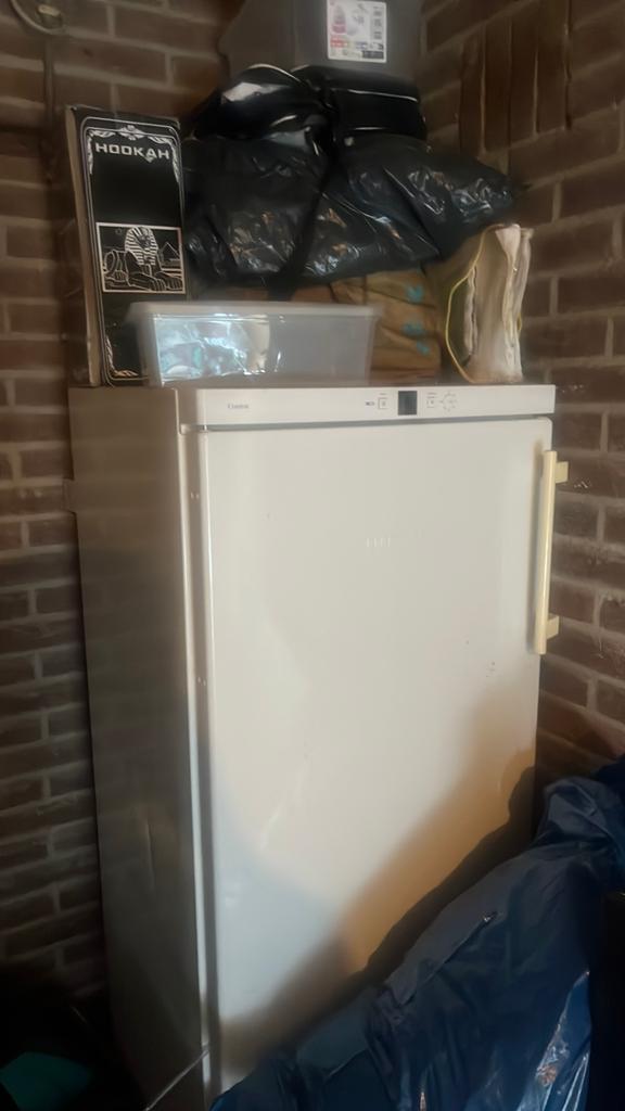 Vriezer, Witgoed en Apparatuur, Ophalen of Verzenden, Zo goed als nieuw, Minder dan 60 cm, 160 cm of meer