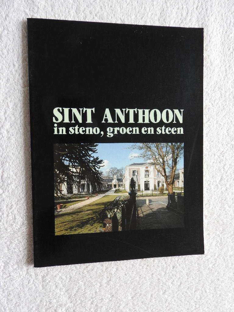 Sint Anthoon in steno, groen en steen - Leeuwarden, Ophalen of Verzenden, Zo goed als nieuw