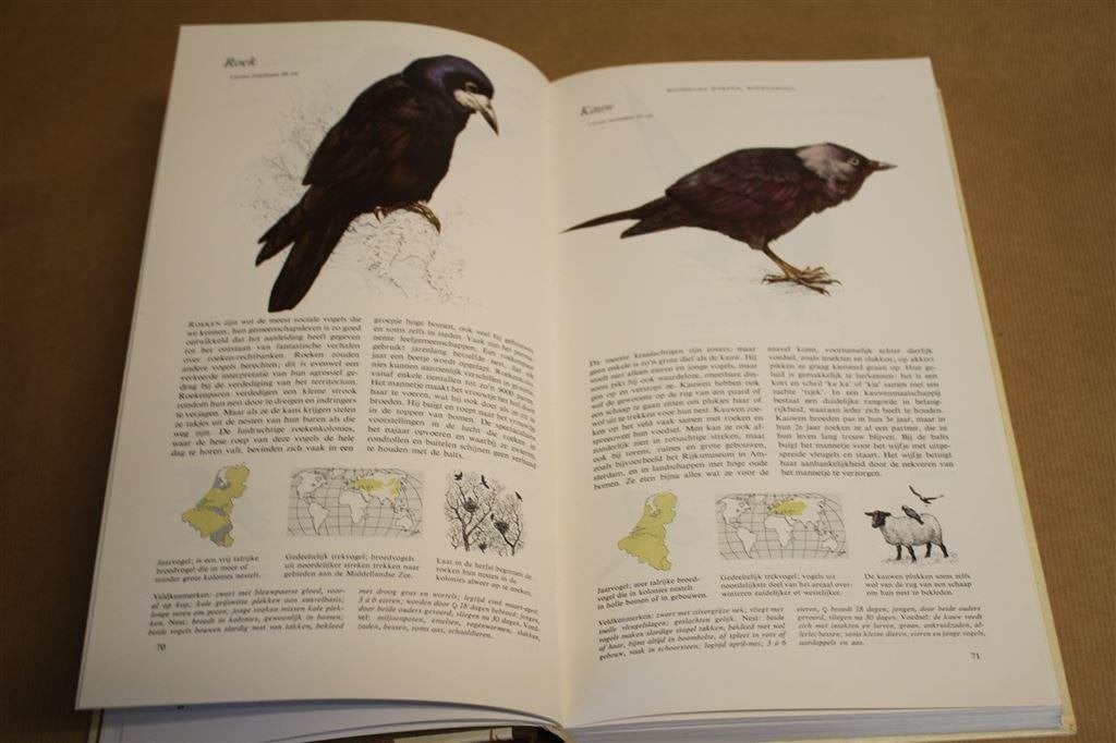 Het Beste vogelboek., Ophalen of Verzenden, Gelezen, Vogels