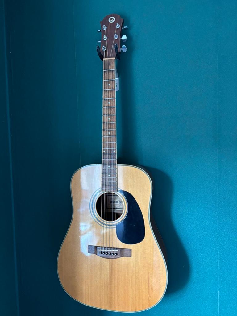 London City AD-10PN Western Gitaar, Muziek en Instrumenten, Ophalen, Western- of Steelstringgitaar