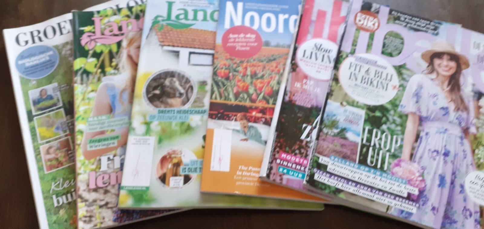 Div bladen, Boeken, Tijdschriften en Kranten, Ophalen, Zo goed als nieuw