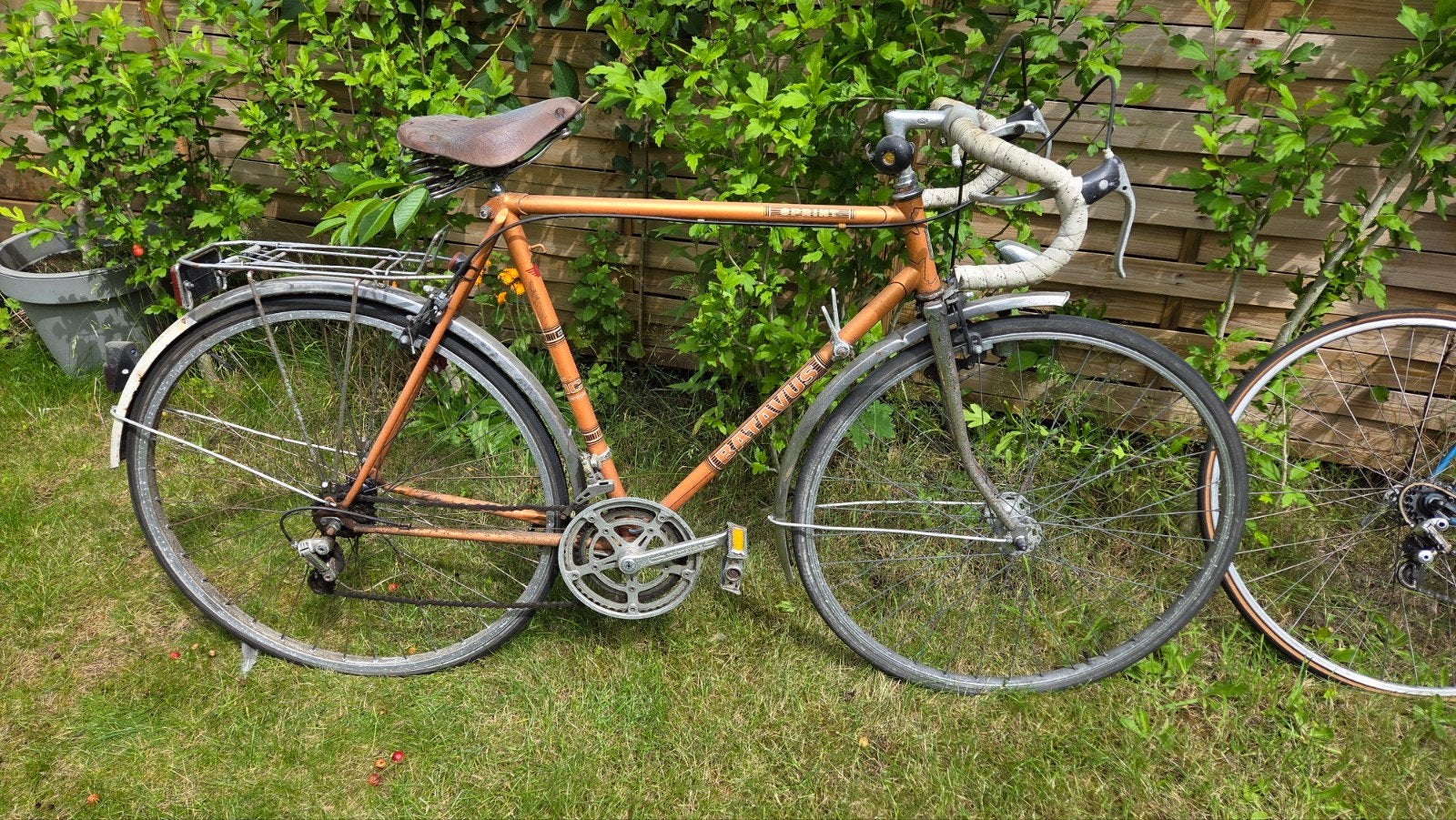 Batavus Sprint racefiets - Opknapper, Ophalen, Gebruikt, 10 tot 15 versnellingen, Batavus