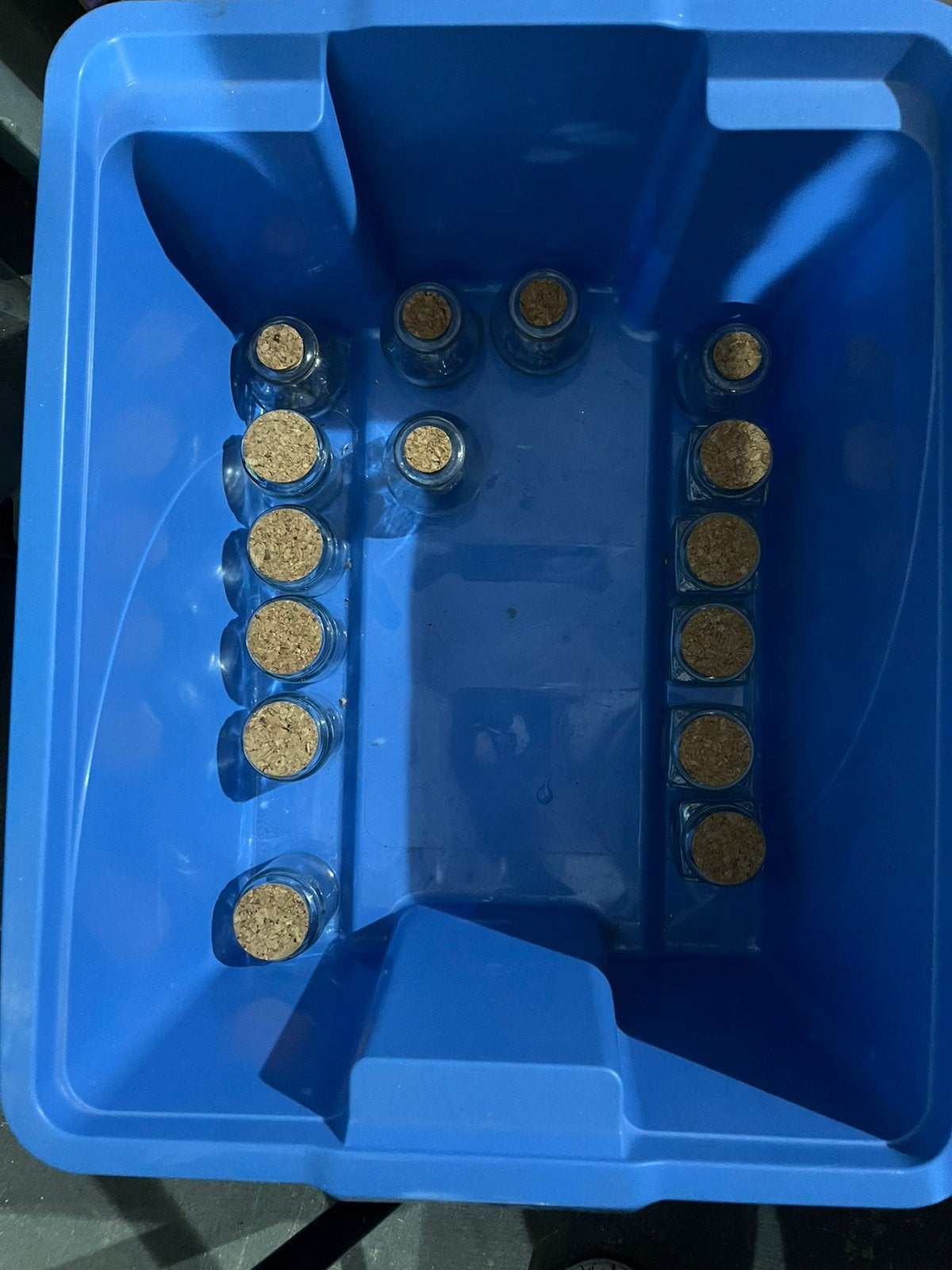 18 glazen voorraadpotjes met kurk – 3 modellen, Ophalen of Verzenden, Zo goed als nieuw, Glas, Pot, Bus of Blik