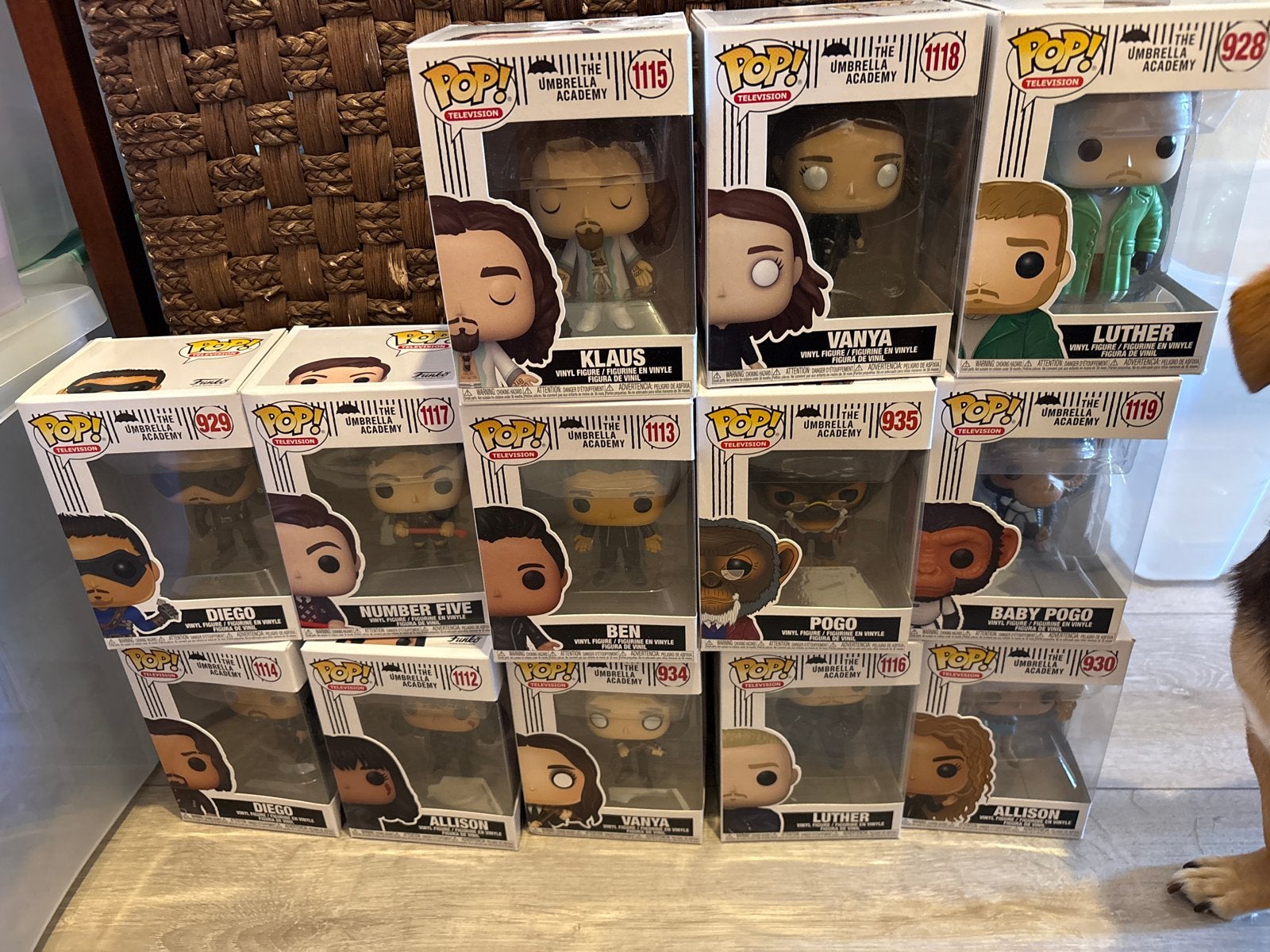 Funko Pop! The Umbrella Academy Collectie (13 stuks), Verzamelen, Ophalen of Verzenden, Nieuw