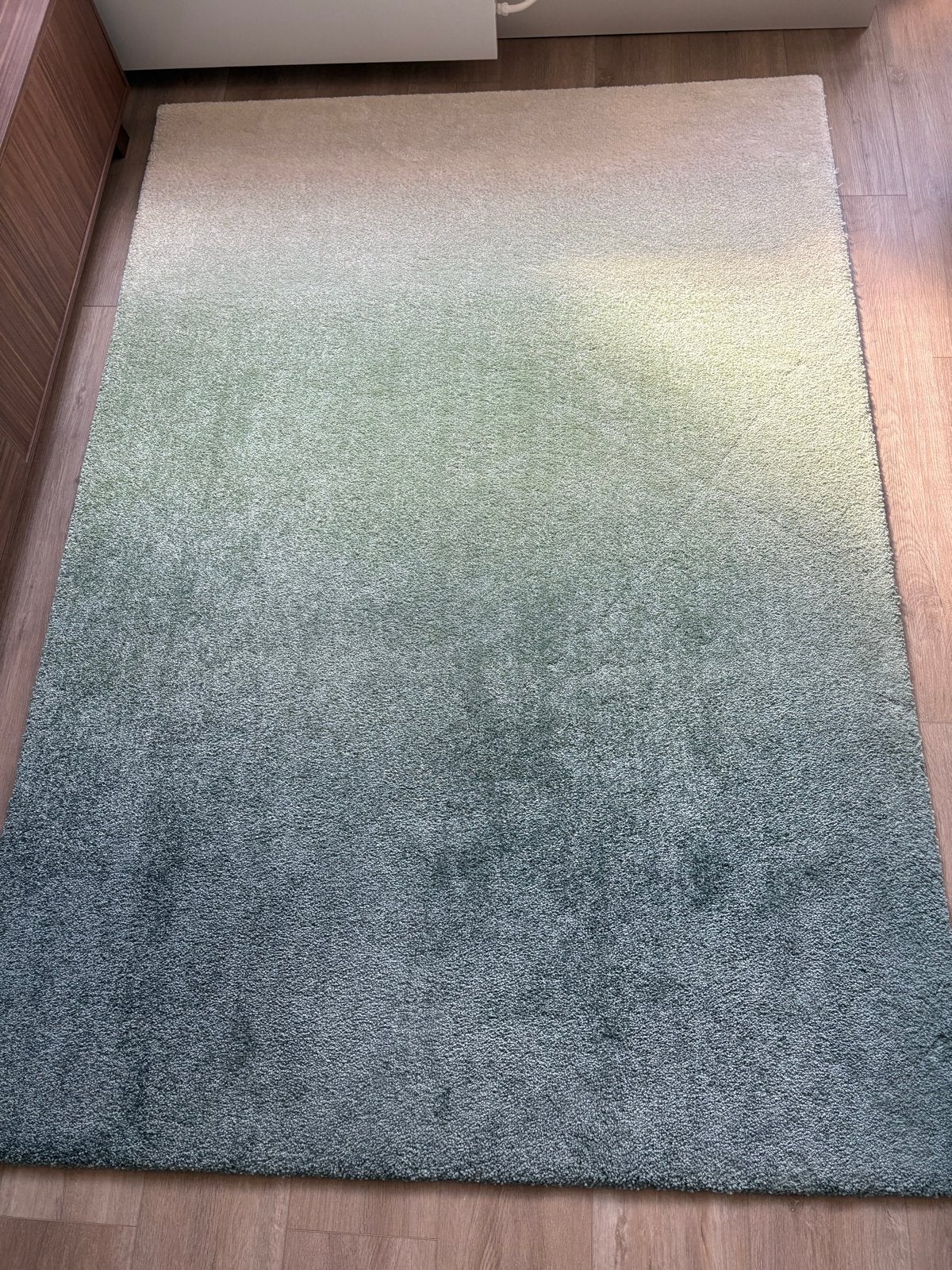 Vloerkleed HOTELLRUM, hoogpolig, Groen/blauw/wit, Ophalen, 150 tot 200 cm, 200 cm of meer, Zo goed als nieuw