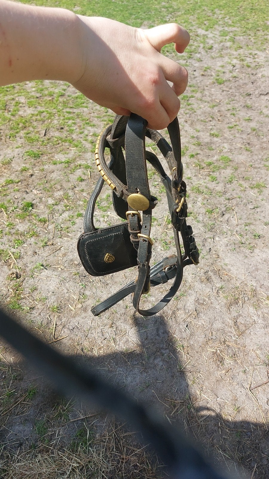 Grote shet of kleine pony men hoofdstel, Ophalen of Verzenden