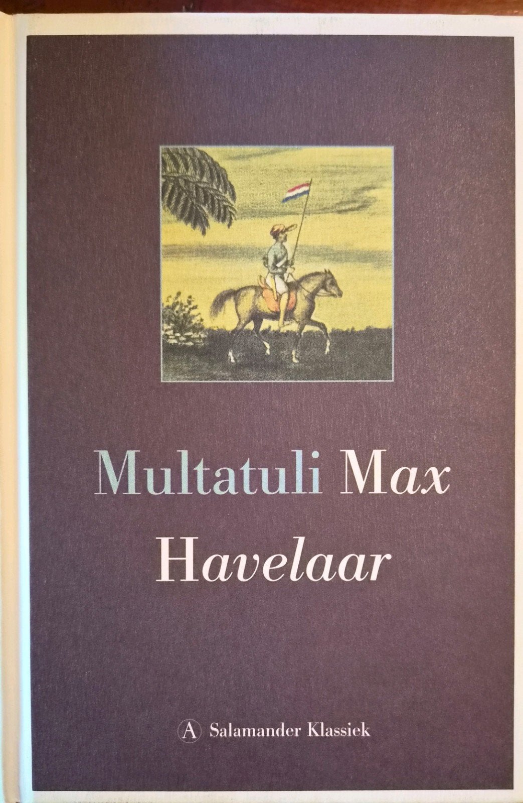 Multatuli - Max Havelaar, Zo goed als nieuw, Nederland, Multatuli, Ophalen of Verzenden