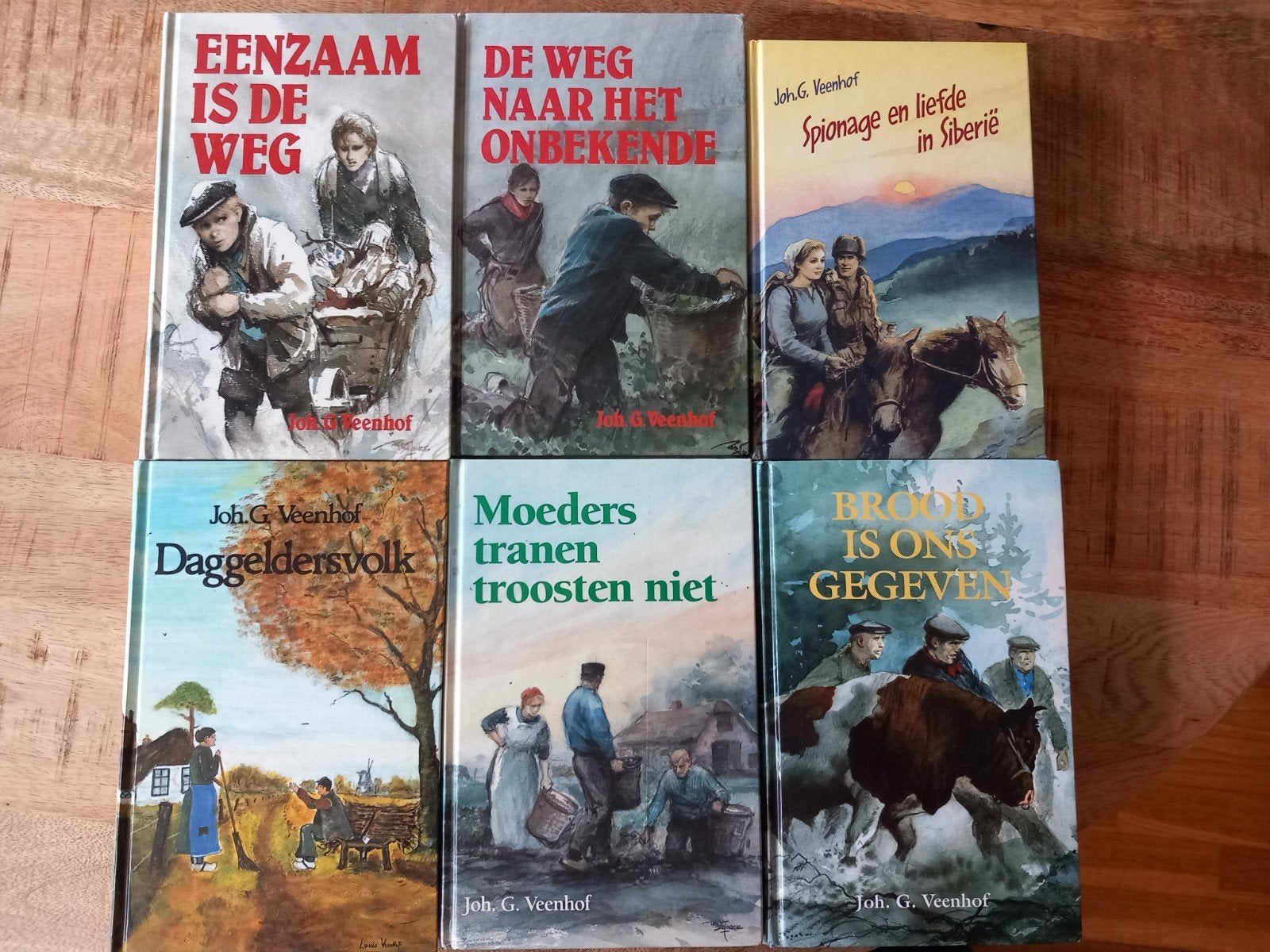 Joh. Veenhof, Boeken, Ophalen of Verzenden, Zo goed als nieuw