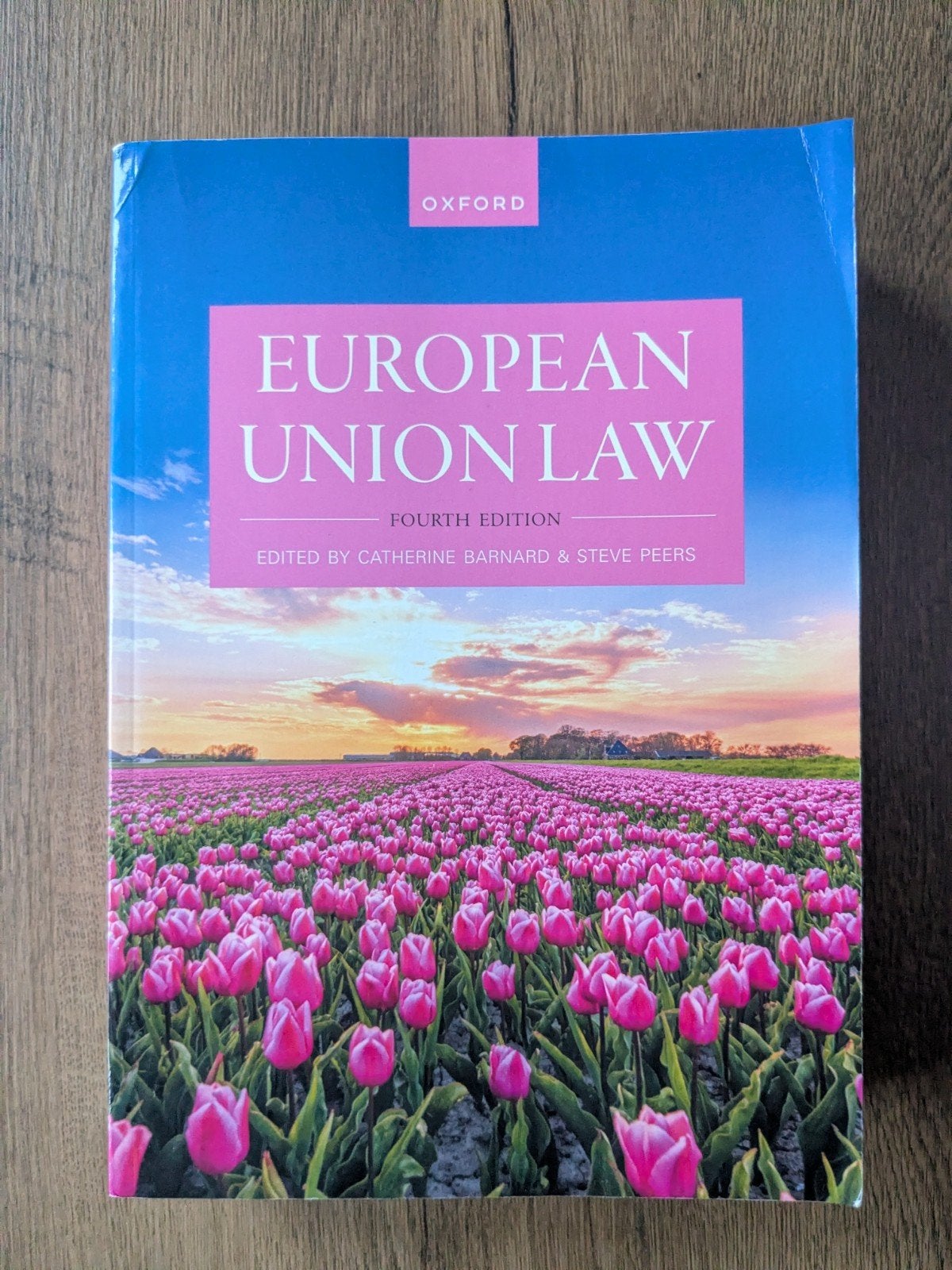 European Union Law Fourth Edition (4e/vierde editie), Boeken, Studieboeken en Cursussen, Ophalen of Verzenden, Gamma, Gelezen