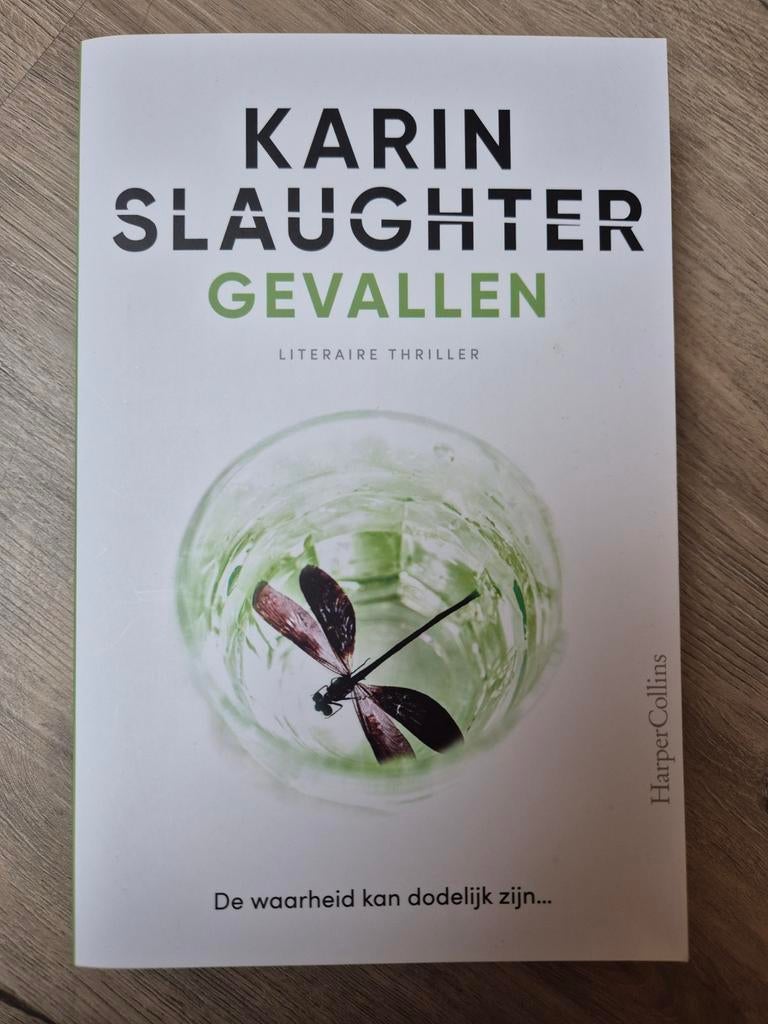 Karin Slaughter - Gevallen (Will Trent-thriller), Boeken, Ophalen of Verzenden, Zo goed als nieuw, Karin Slaughter, Nederland