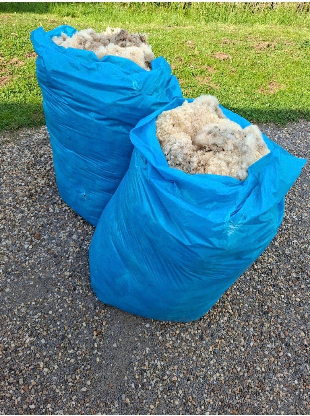 2 grote zakken schapen wol ongewassen

Neem gerust een kijkj, Ophalen