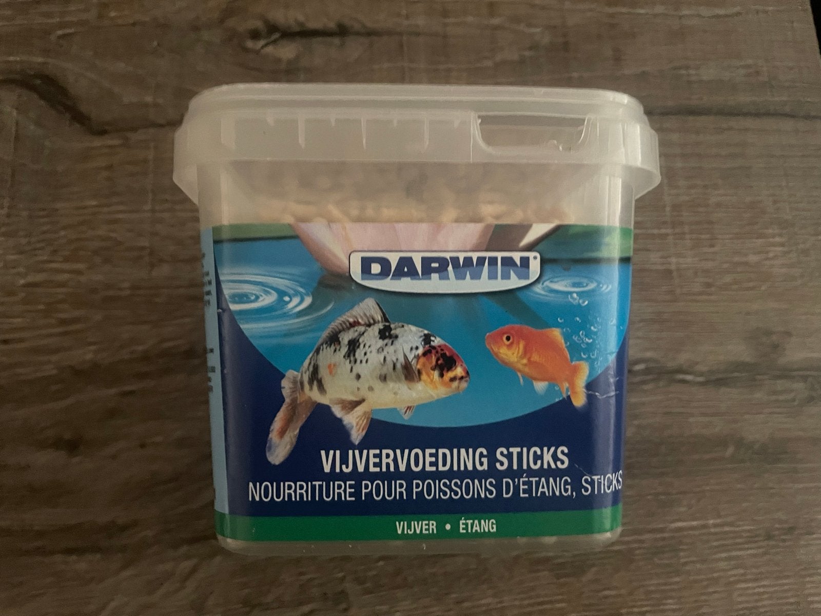 Vissenvoer, Karper of Koi