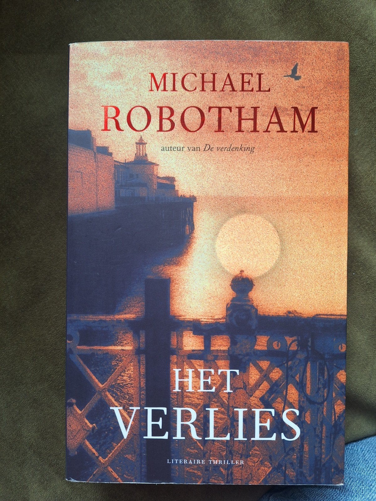 Het Verlies - Michael Robotham (Literaire Thriller), Ophalen of Verzenden, Zo goed als nieuw, Michael Robotham, Europa overig