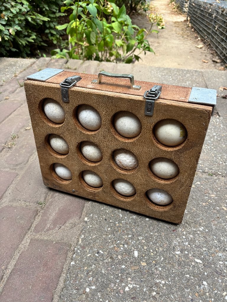 Hockeyballen koffer hout, Sport en Fitness, Hockey, Ophalen, Gebruikt, Bal