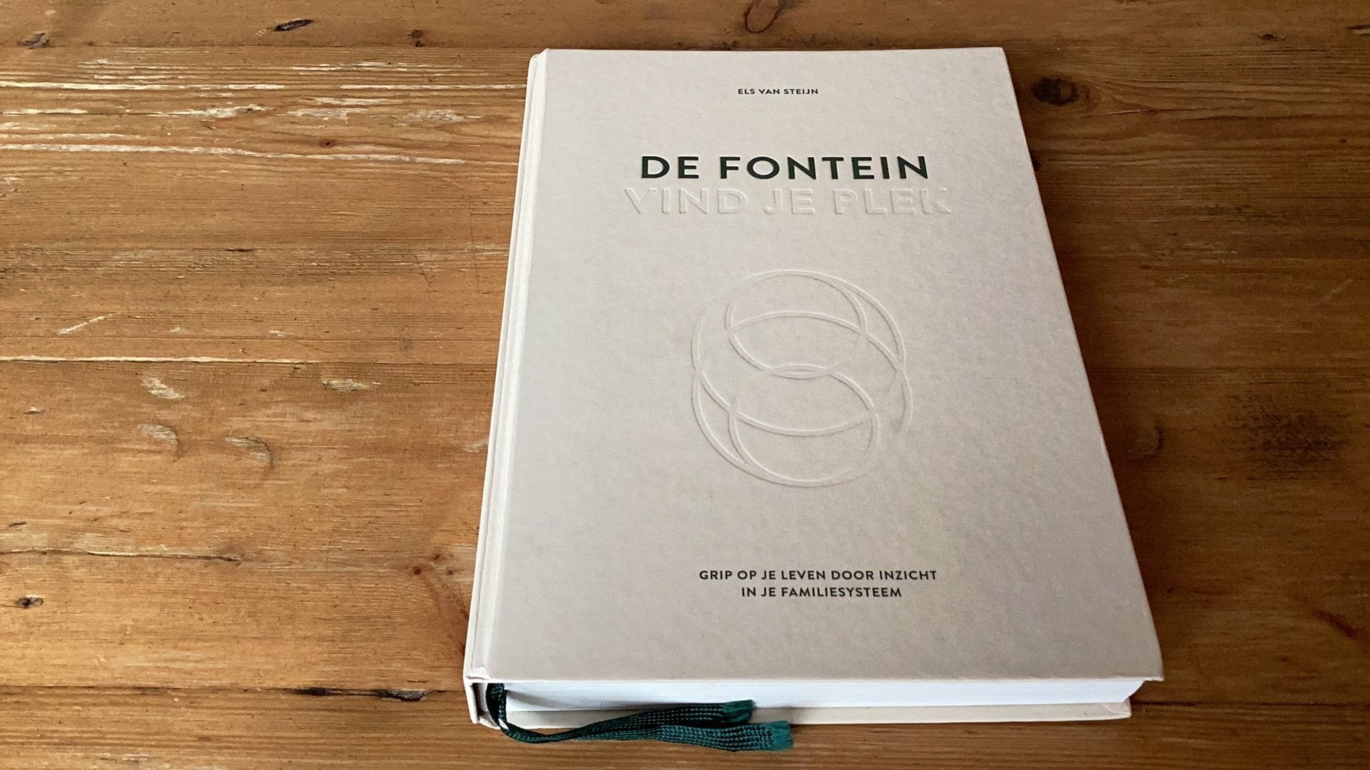 DE FONTEIN VIND JE PLEK - Els van Steijn - gebonden boek, Boeken, Ophalen of Verzenden, Els van Steijn, Ontwikkelingspsychologie