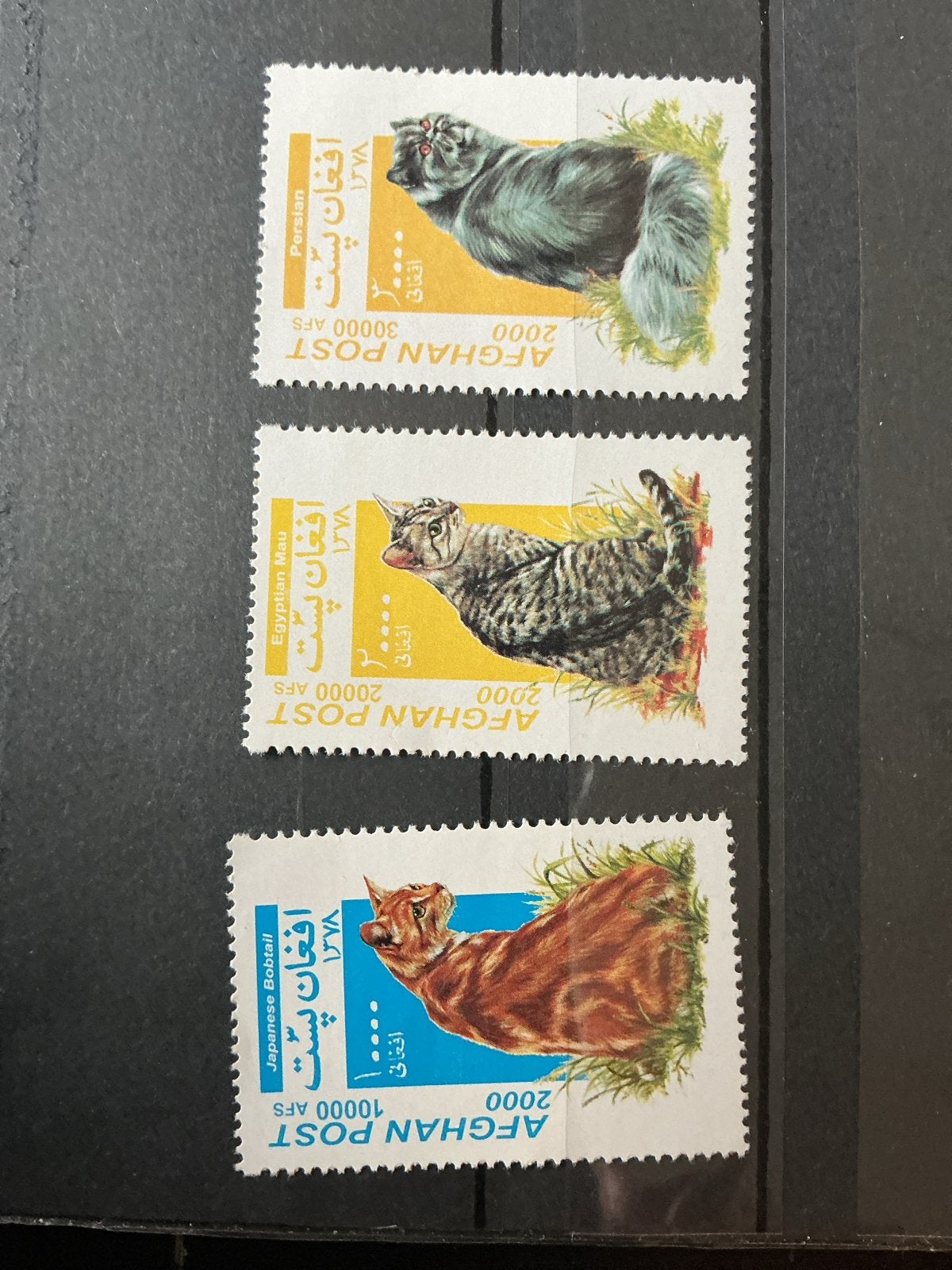6 Afghaanse postzegels met katten, 2000, Ophalen of Verzenden, Postfris, Zuid-Azië