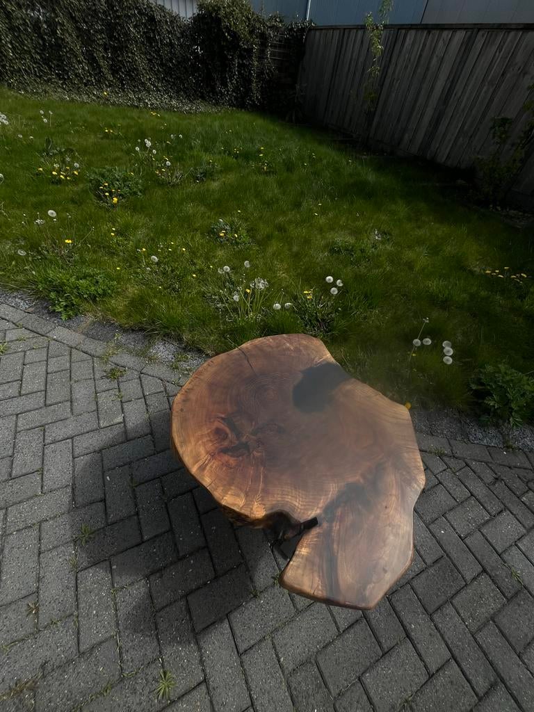 Unieke boomstam salontafel met metalen onderstel, Ophalen, 50 tot 100 cm, Zo goed als nieuw, Overige vormen