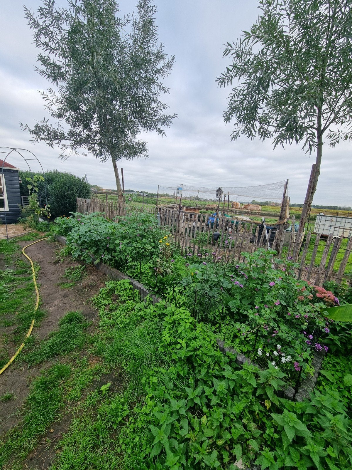 gezocht vrijwilliger klus en tuin man/vrouw, Ophalen of Verzenden