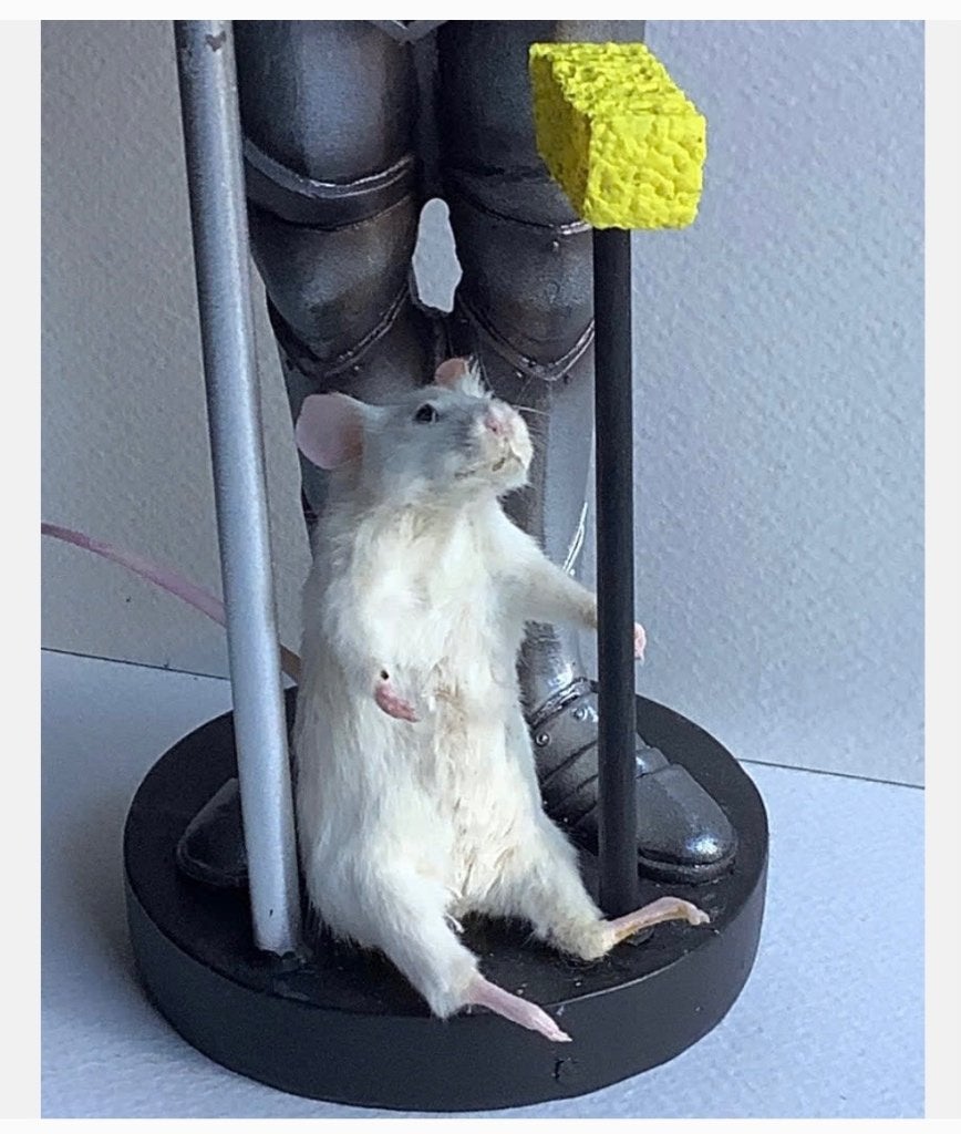 Beeld Ridder met echte opgezette muis, mooie woondecoratie, Verzamelen, Ophalen of Verzenden, Zo goed als nieuw, Overige soorten