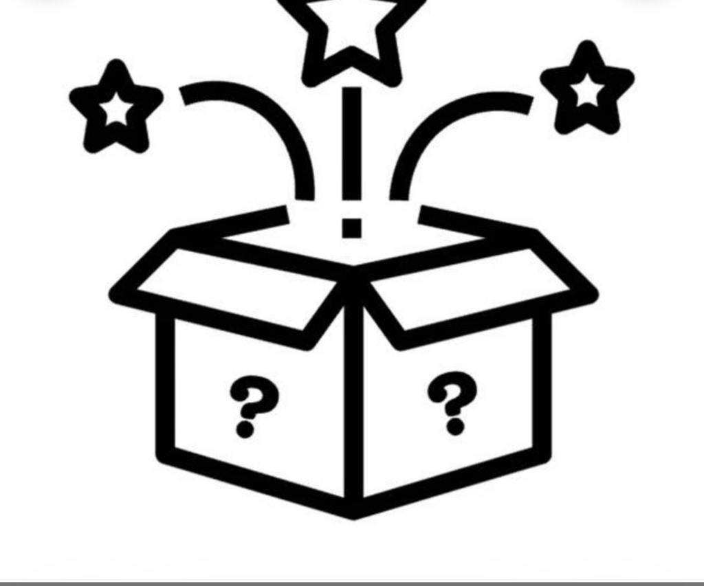 Mystery box kledingpakket maat L, Ophalen of Verzenden, Zo goed als nieuw, Maat 42/44 (L)
