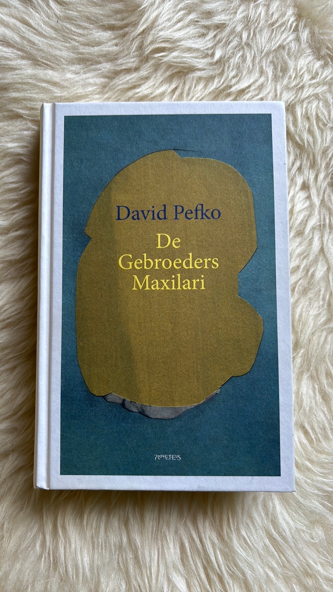 David Pefko - De Gebroeders Maxilari | Hardcover / Gebonden, Ophalen of Verzenden, Zo goed als nieuw, David Pefko