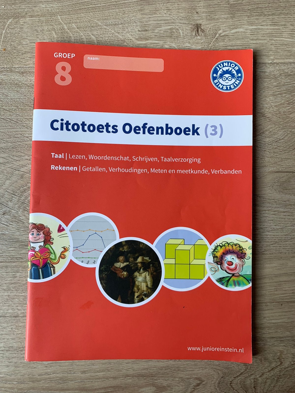 Citotoets oefenboek groep 8 digitaal, Ophalen, Zo goed als nieuw, Overige niveaus, Nederlands