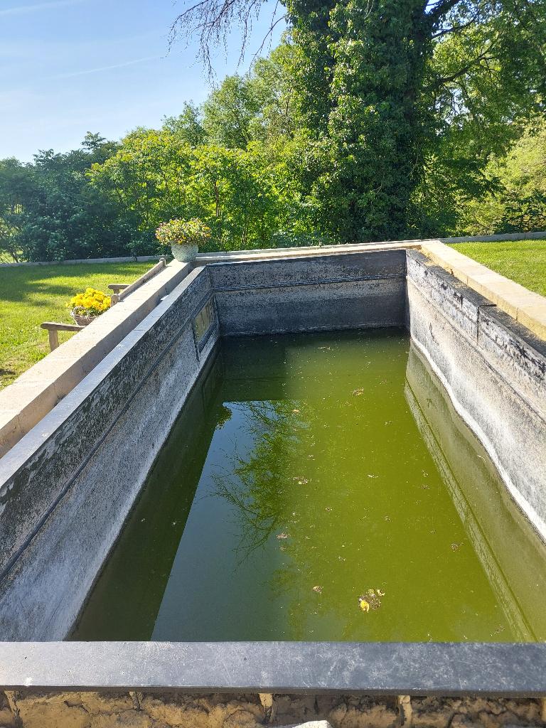 Koi-karper vijverbak, Tuin en Terras, Vijvers, Gebruikt, Ophalen
