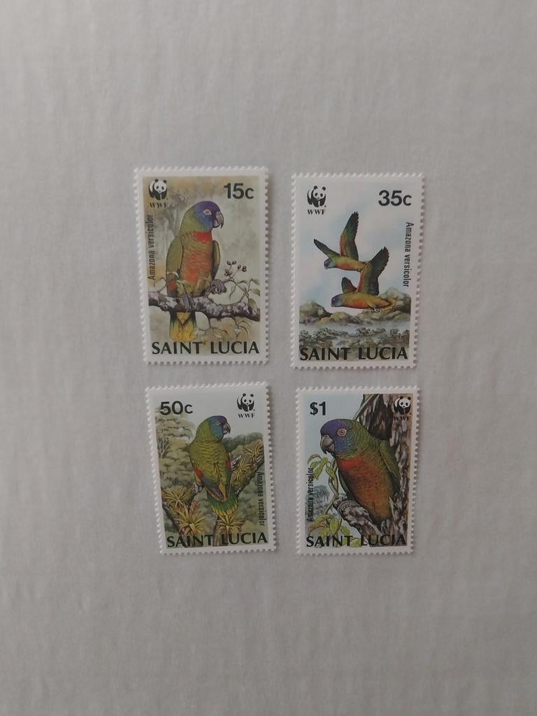 Wwf St Lucia 909-912 vogels 1987 postfris mi 20 eu, Postzegels en Munten, Ophalen of Verzenden