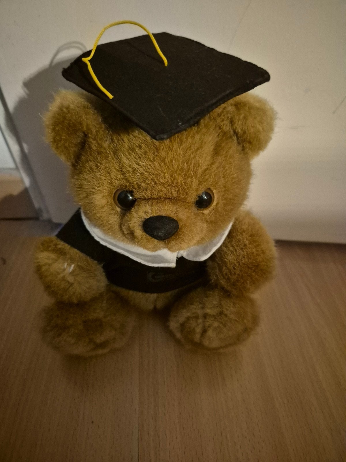 Schattige afstudeerbeer - knuffel met baret, Beer, Ophalen of Verzenden, Zo goed als nieuw, Met kleding of accessoire