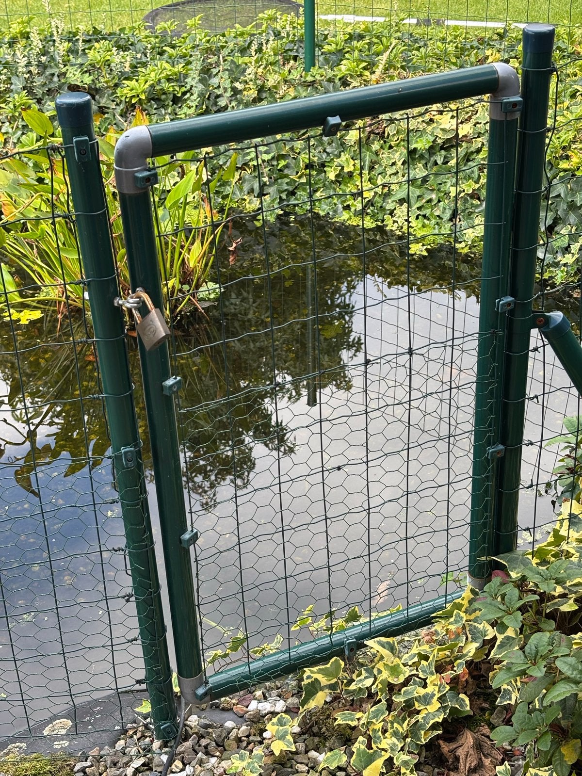Vida XL Tuinhek 20m met poortje en palen - Ideaal voor vijve, Ophalen, Met poort, Gebruikt, Tuinhek