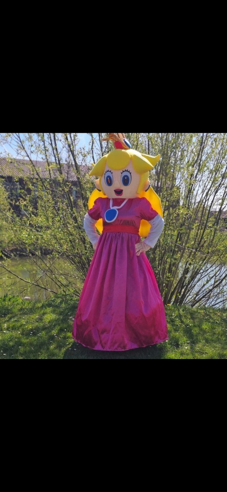 Prinses Peach Mascotte Pak - Huur of Koop, Ophalen of Verzenden