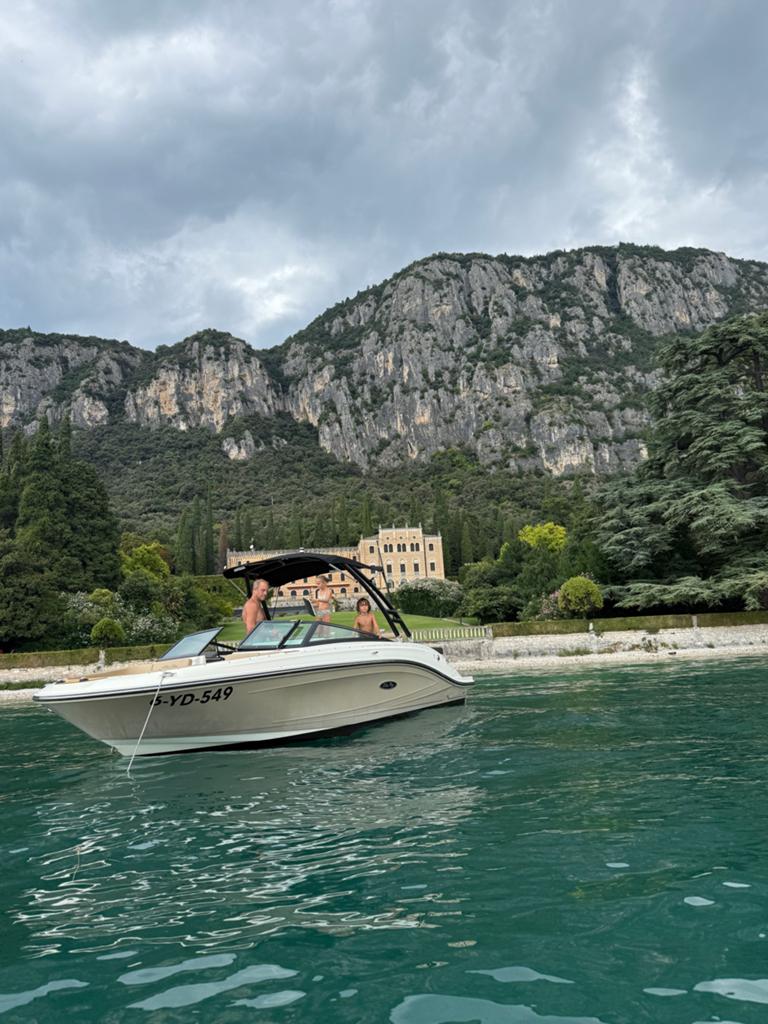 Sea Ray SPX 230, Watersport en Boten, Speedboten, Gebruikt, Sea Ray, Ophalen of Verzenden